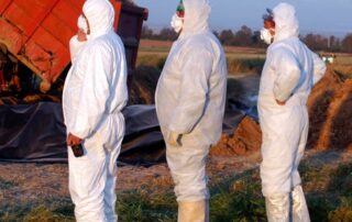 Poultry eradication workers wearing Personal Protective Equipment (PPE) Photo: iStock